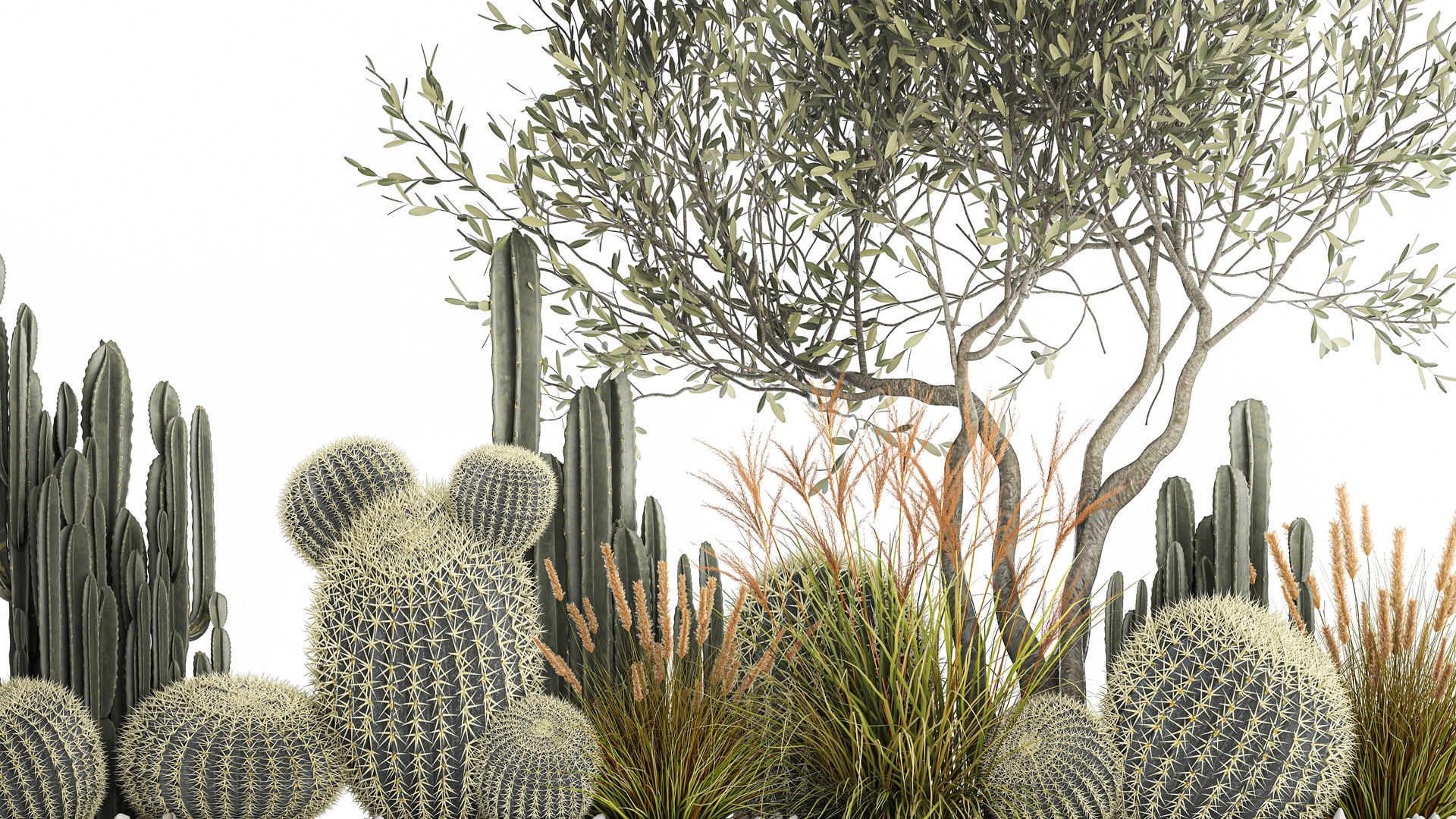 Cactus set in a flowerpot landscaping Olive tree 1105 3D https://p.turbosquid.com/ts-thumb/SZ/RNfgA9/Ry/1cactusset2001202204/jpg/1643033921/1920x1080/fit_q87/5706b1abeb45da136b58f759eb94de3104e231c9/1cactusset2001202204.jpg