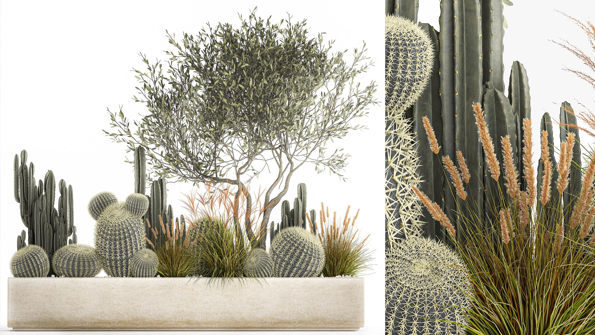 Cactus set in a flowerpot landscaping Olive tree 1105 3D https://p.turbosquid.com/ts-thumb/SZ/RNfgA9/kA/1cactusset2001202202/jpg/1643033913/1920x1080/fit_q87/bd4ec722b175f0b839cdc6065ccc0cfee5570c07/1cactusset2001202202.jpg