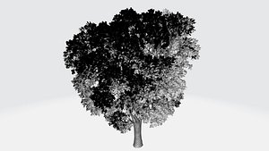 Small green tree model