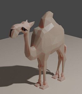 animal camel 3D