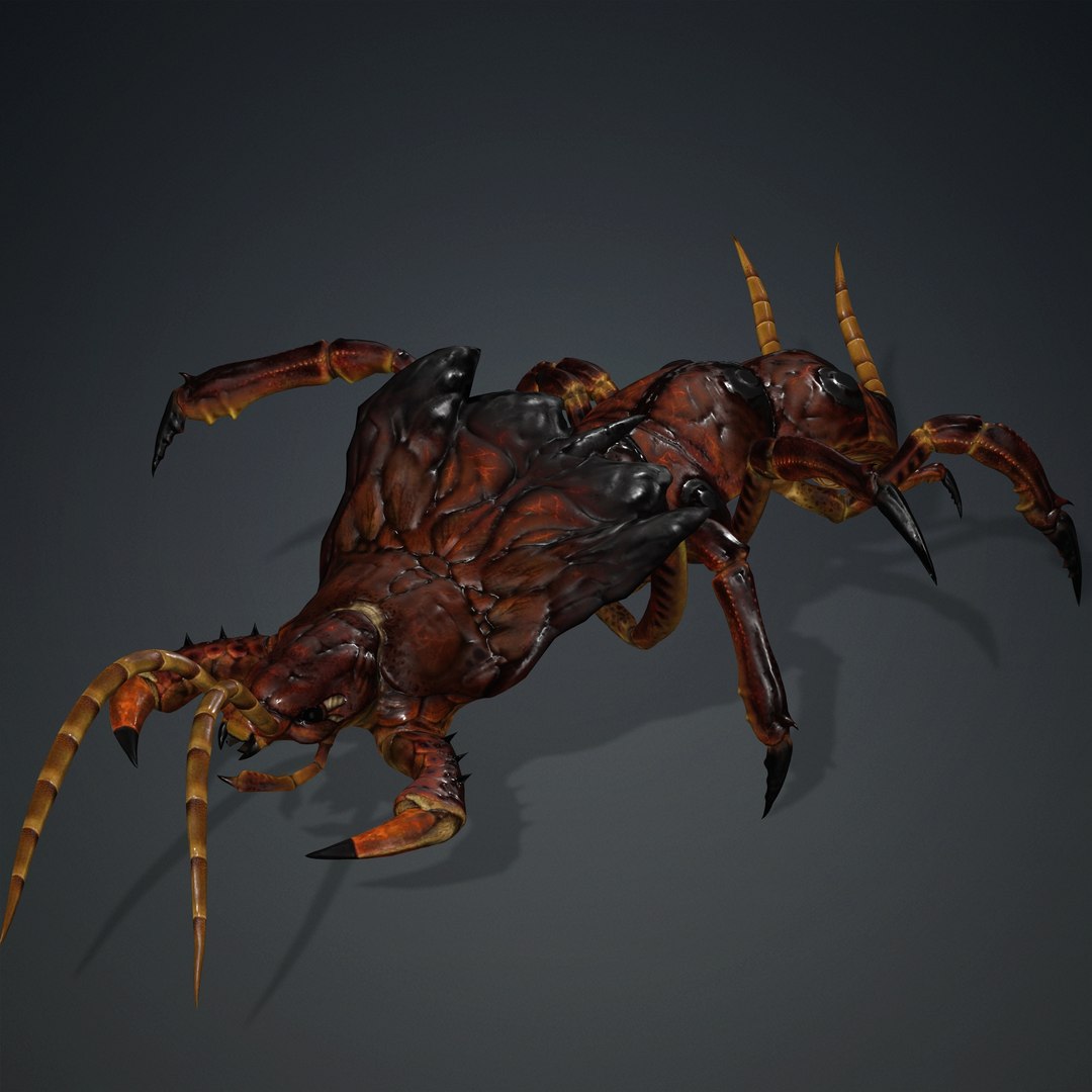 CENTIPEDE Insect Centipede 3D Model - TurboSquid 2162971