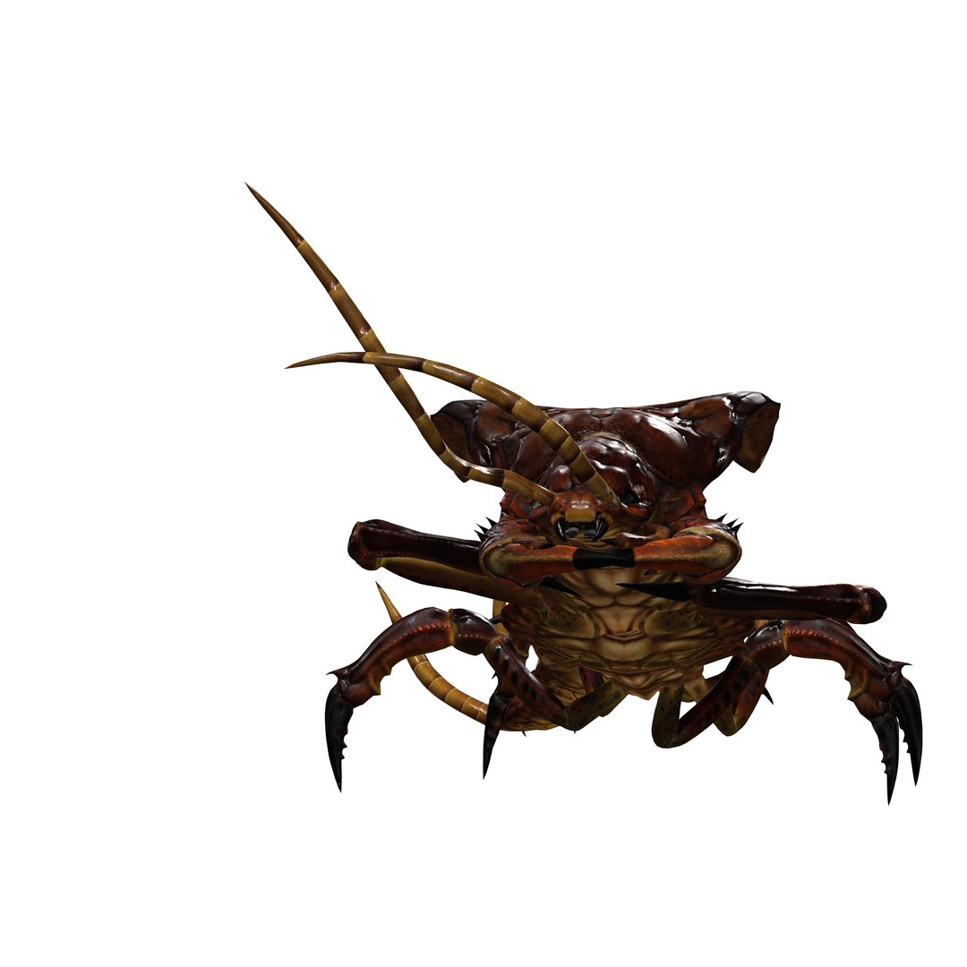 CENTIPEDE Insect Centipede 3D Model - TurboSquid 2162971