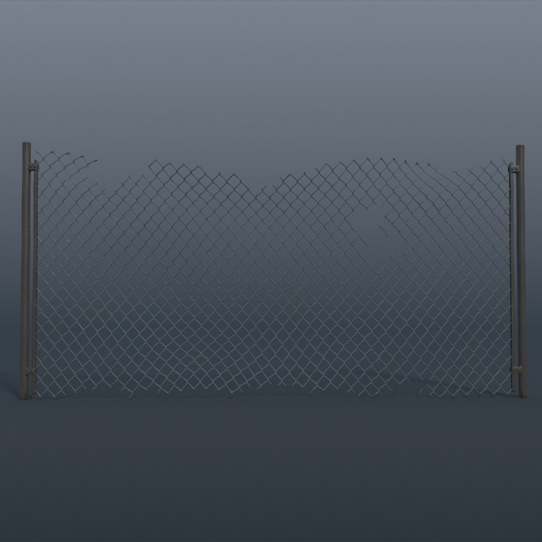 3d Model Damage Netting