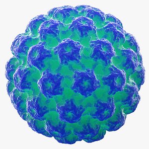 human papilloma virus hpv 3D model