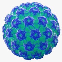 Human Papilloma Virus HPV