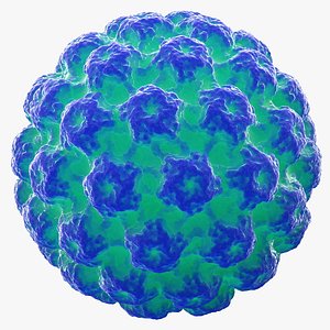 Human Papilloma Virus HPV