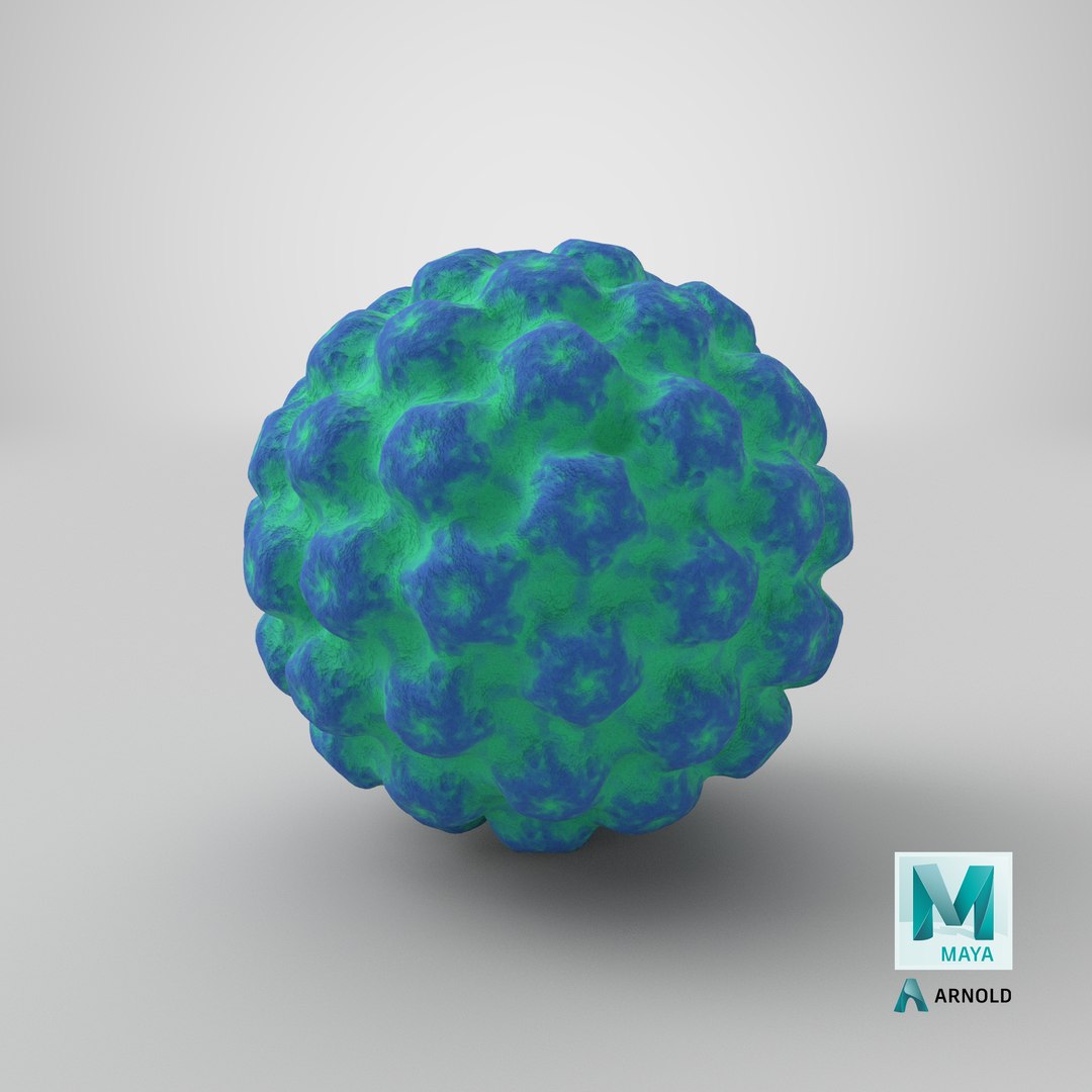 human papilloma virus hpv 3D model https://p.turbosquid.com/ts-thumb/SZ/xTZWSe/RlijGhU2/stemcell_maya_arnold_render/png/1588161724/1920x1080/fit_q87/7a33f1bc8eea7d351de2e383647e2fe8783d09fd/stemcell_maya_arnold_render.jpg