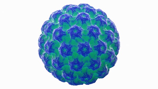 papillomavírus kép