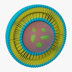 Liposome