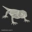 rigged lizards 2 3D model
