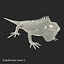 rigged lizards 2 3D model