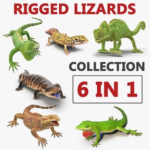 Rigged Lizards 3D Models Collection 2