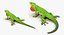 rigged lizards 2 3D model