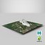 Cor Real Monte Fuji