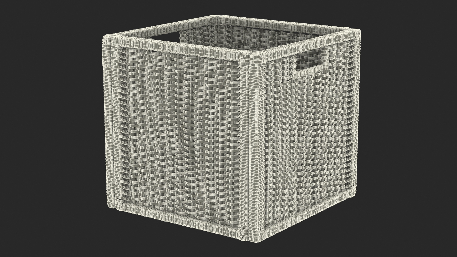 3D Home Decor Collection 3 model https://p.turbosquid.com/ts-thumb/Sa/NoBu4Y/OJ/rattan_storage_basket_black_361/jpg/1649412238/1920x1080/turn_fit_q99/f2c1e5fb13b11f7994a8e22e9c0afecf435cf417/rattan_storage_basket_black_361-1.jpg