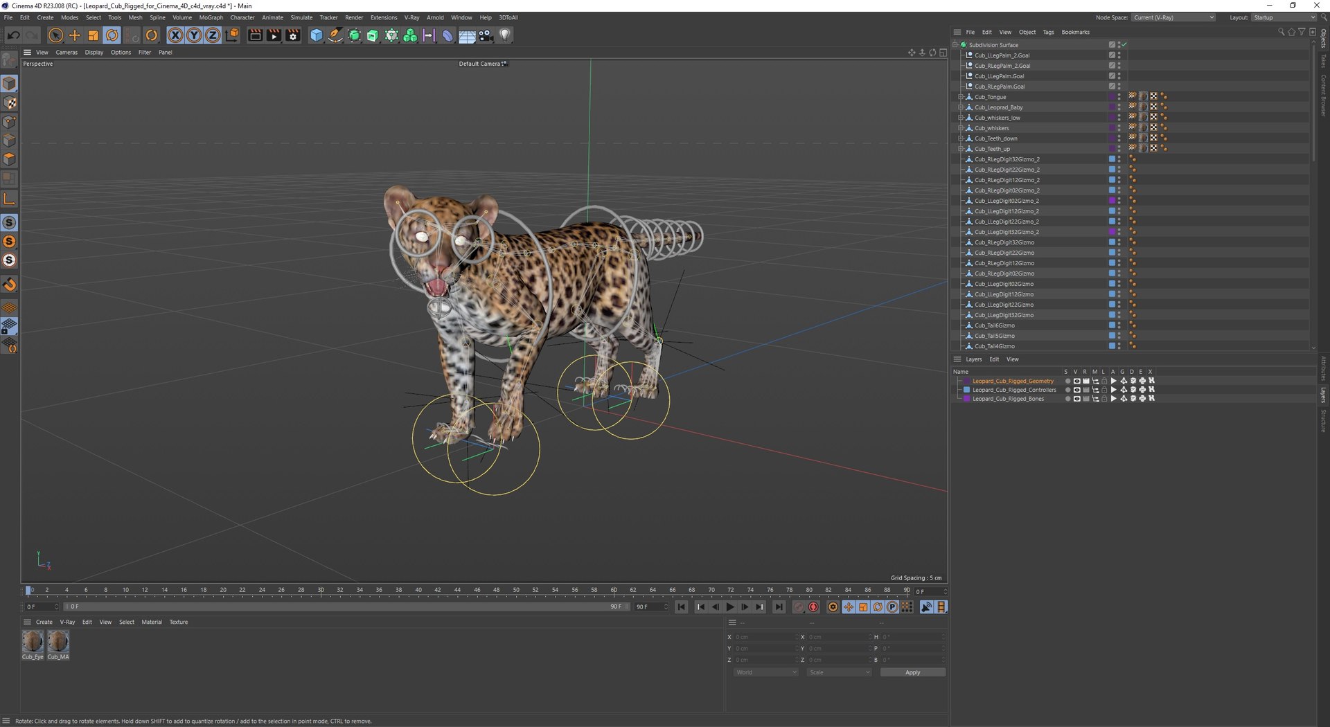 Leopard Cub Rigged For Cinema 4D Model - TurboSquid 2382812