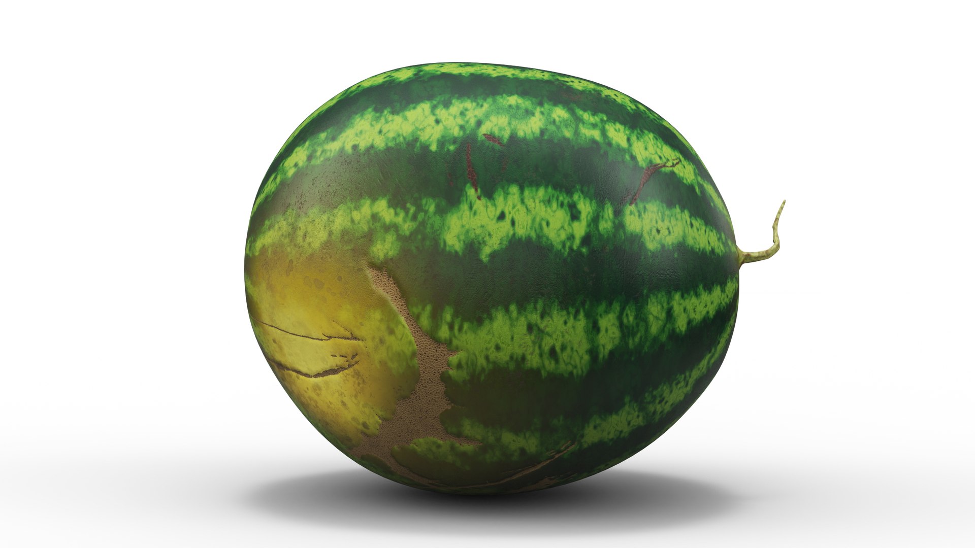 Round Stripped Watermelon 3D model https://p.turbosquid.com/ts-thumb/Sa/Pdgf7O/Rc/roundstrippedwatermelonmb3dmodel007/jpg/1688565849/1920x1080/fit_q87/55d0b6c73ddb6ed85542c9b5876d409b8a1a343c/roundstrippedwatermelonmb3dmodel007.jpg