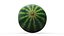 Round Stripped Watermelon