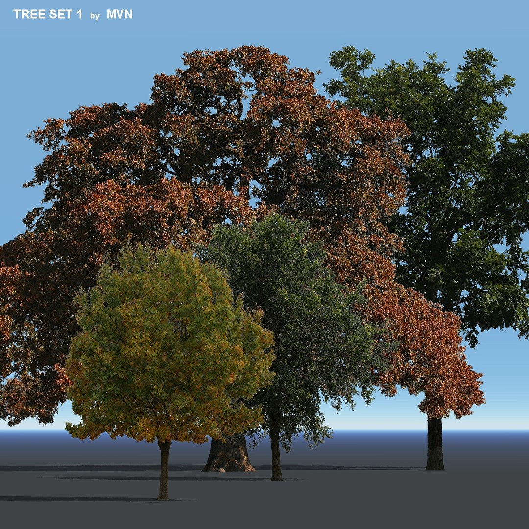 Set Trees 3d Obj