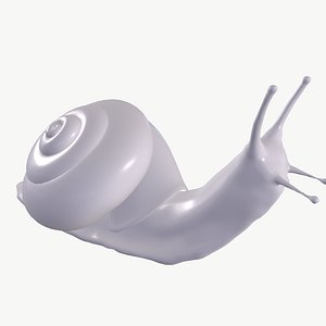 snail