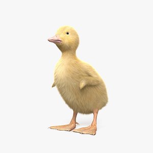 duck life 3d model (vip) - Download Free 3D model by jujikfurry