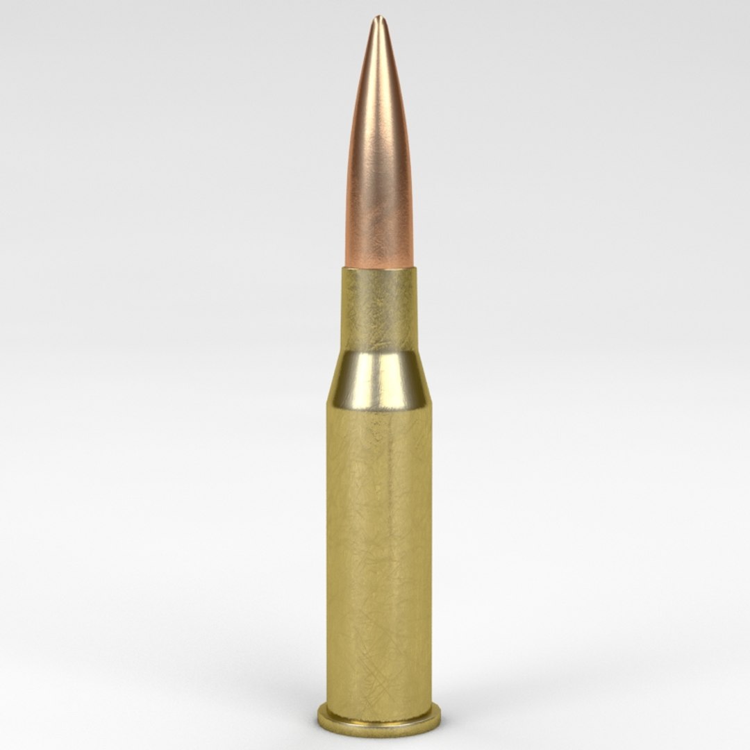 3d Model Bullets