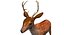 Deer Low Poly