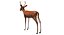 Deer Low Poly