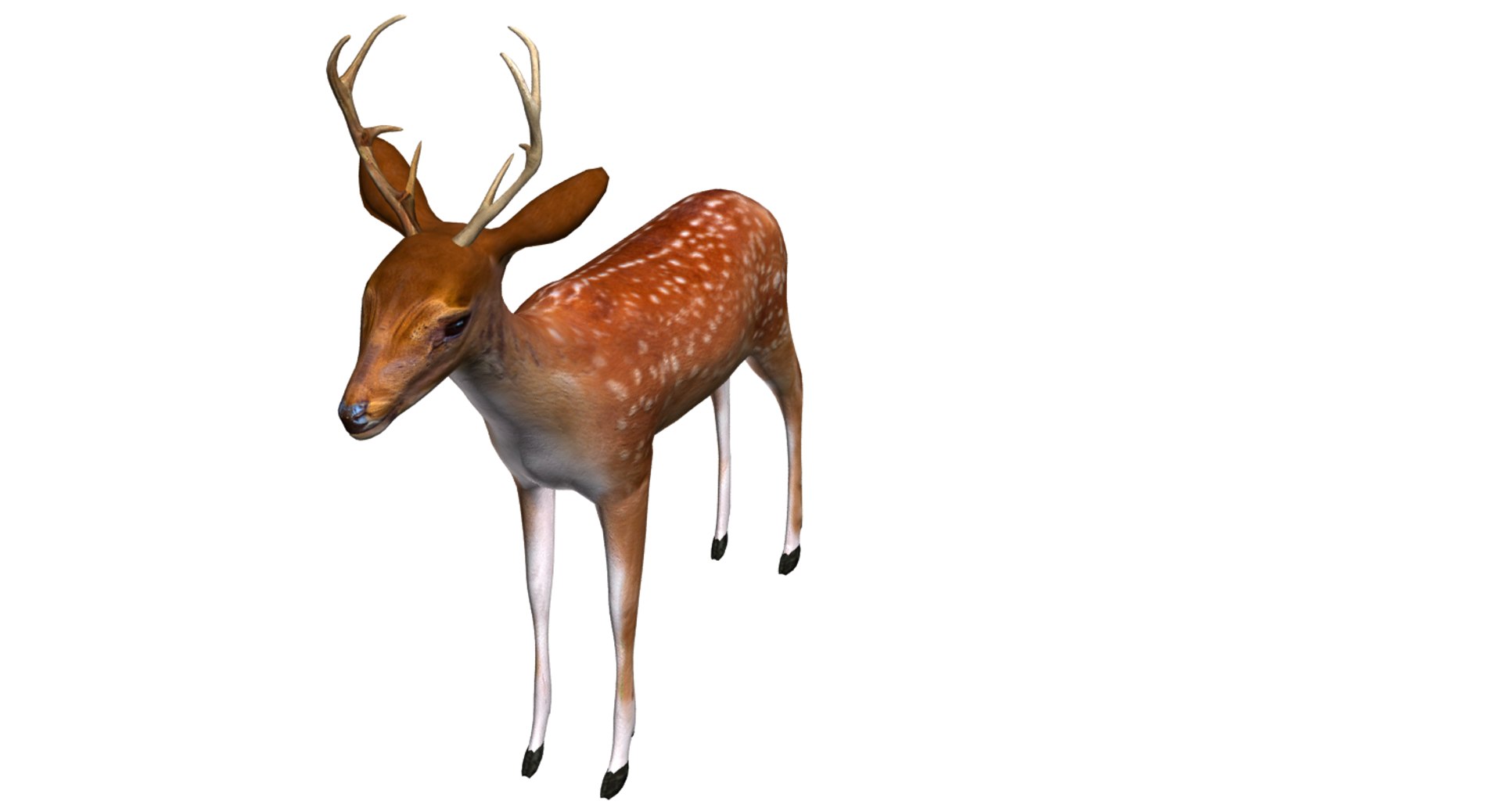 3D deer model https://p.turbosquid.com/ts-thumb/Sa/hj2c0J/5Em8Ldjt/05/png/1508751397/1920x1080/fit_q87/1b2d11e53dfa7356db786a8bbc075eb6320919ea/05.jpg