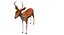 Deer Low Poly