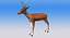 Deer Low Poly