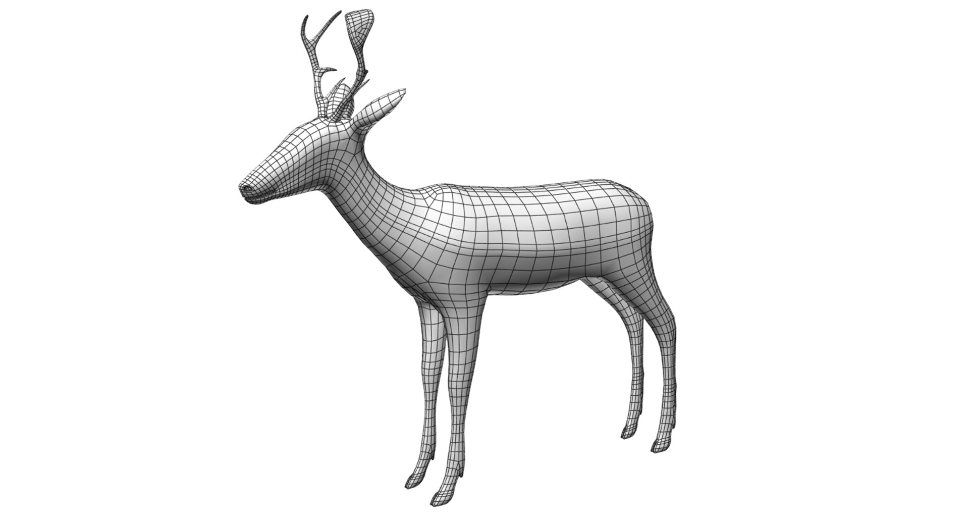 3D deer model https://p.turbosquid.com/ts-thumb/Sa/hj2c0J/6KNo7QYo/wire_02/png/1508751398/1920x1080/fit_q87/626f45d59c38743de89547ab64e89ff6a6e0e639/wire_02.jpg