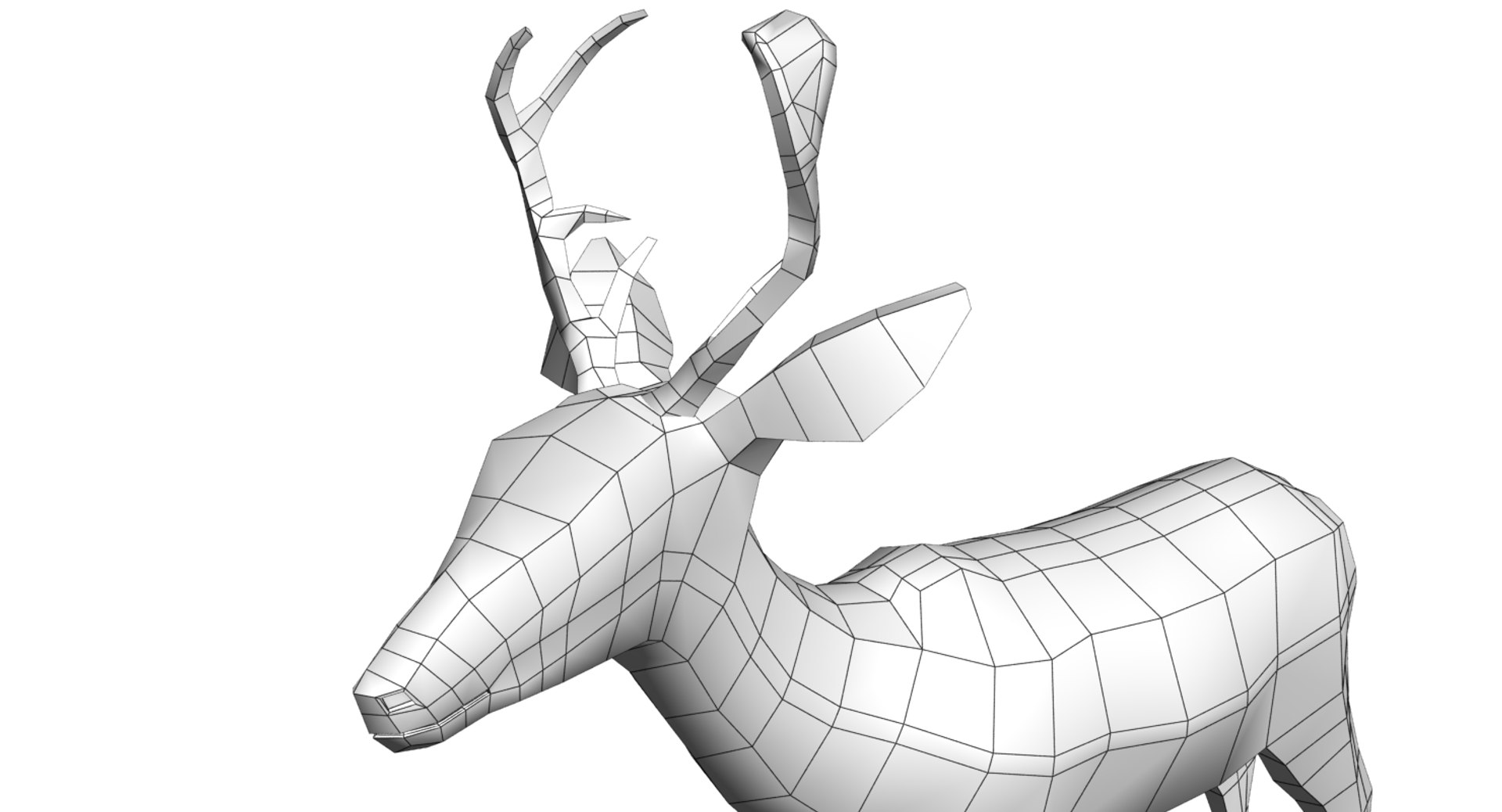 3D deer model https://p.turbosquid.com/ts-thumb/Sa/hj2c0J/atw68MFr/wire_05/png/1508751398/1920x1080/fit_q87/8e41bd909591a8680bc5e508c1749a7dfba0bf73/wire_05.jpg