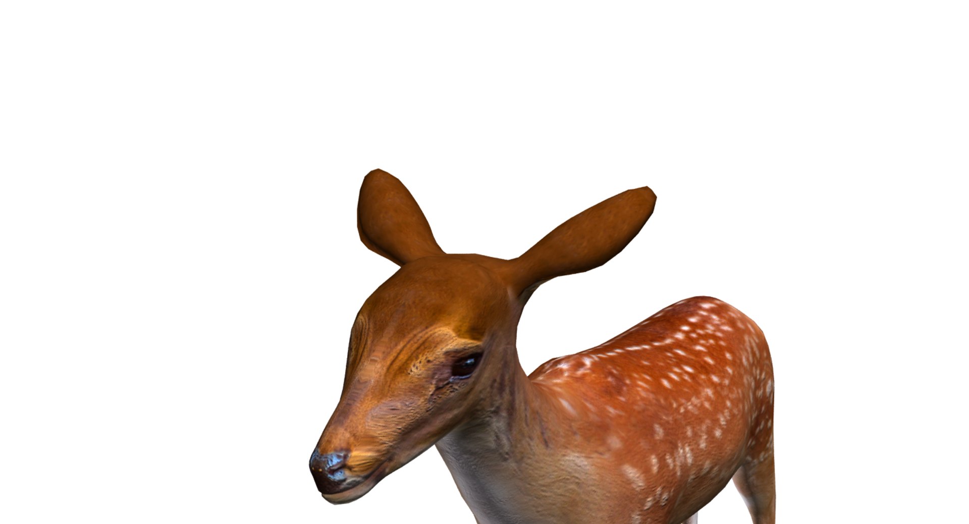 3D deer model https://p.turbosquid.com/ts-thumb/Sa/hj2c0J/c3JN1Zlh/12/png/1508751398/1920x1080/fit_q87/5c5c0644460be697c1dcfa100f6db61eeb274981/12.jpg
