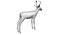 Deer Low Poly