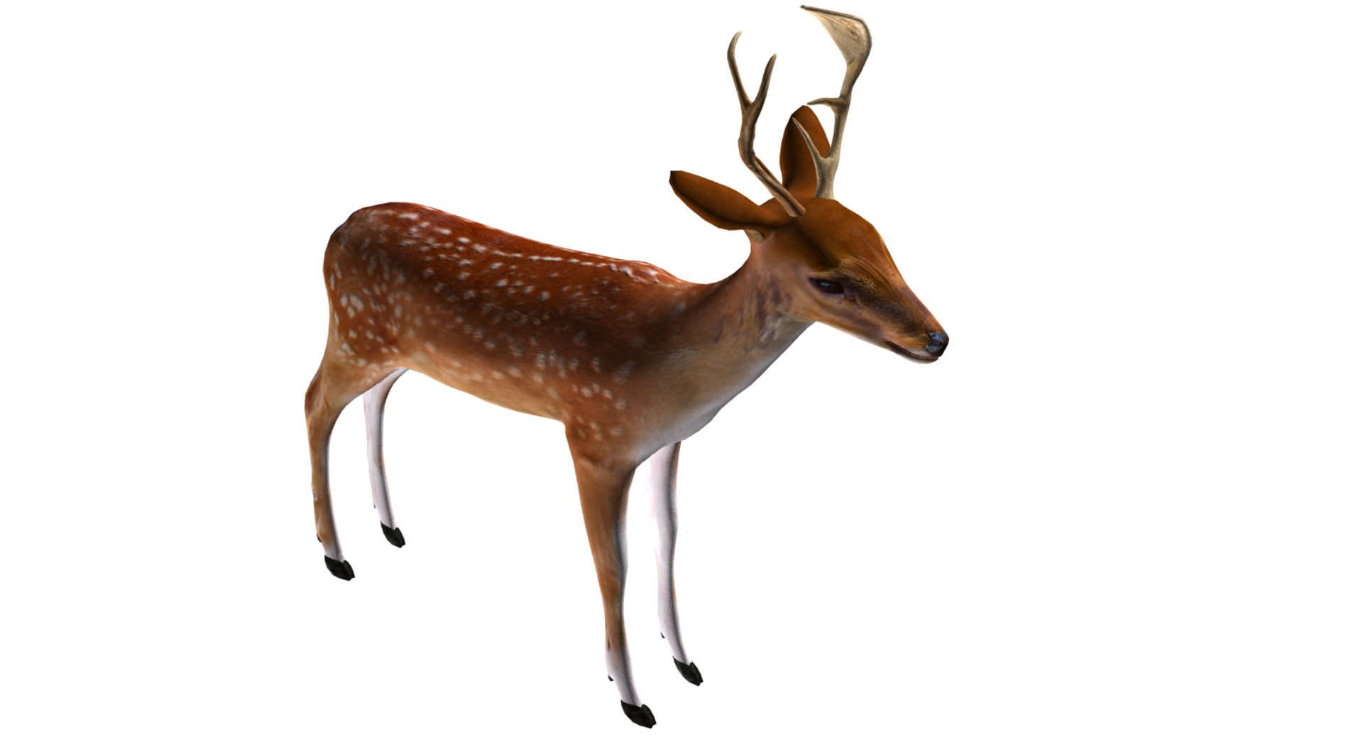 3D deer model https://p.turbosquid.com/ts-thumb/Sa/hj2c0J/lOn7ZgrI/08/png/1508751397/1920x1080/fit_q87/7ae4698cabb7e2afde66cf37f4a8a5d8165fda94/08.jpg