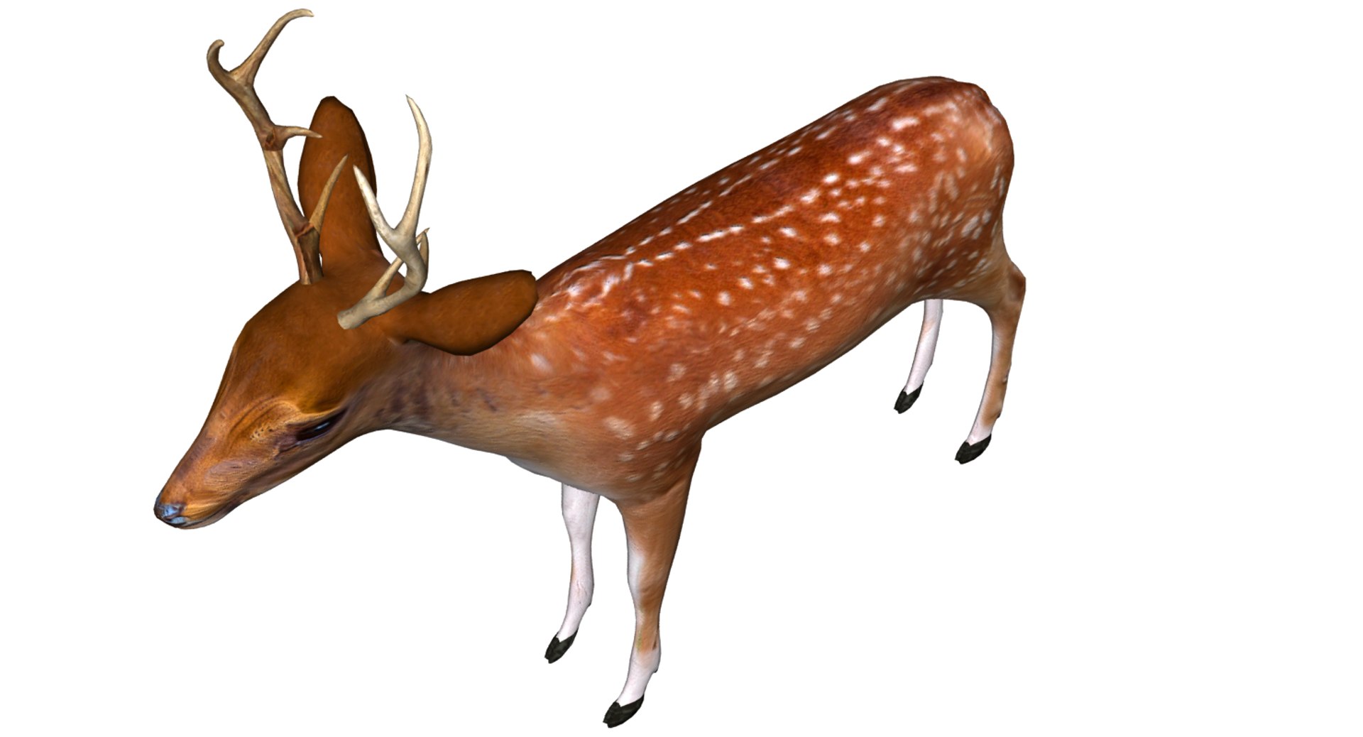 3D deer model https://p.turbosquid.com/ts-thumb/Sa/hj2c0J/qjYrL0xr/07/png/1508751397/1920x1080/fit_q87/d03c86e5caef5f2312827edf3a465201149ce10f/07.jpg