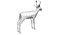 Deer Low Poly