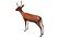 Deer Low Poly