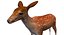 Deer Low Poly