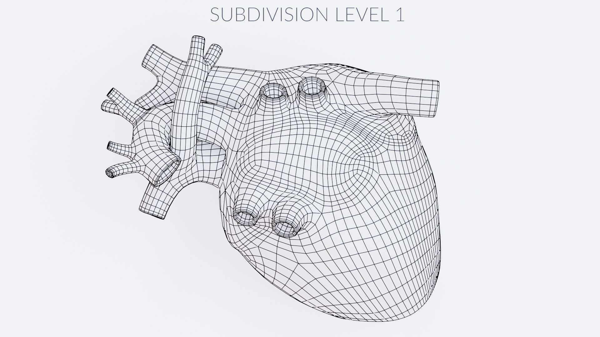 Heart Realistic 3D https://p.turbosquid.com/ts-thumb/Sa/kOM8Zq/iP/heartrealisticw3/png/1676817755/1920x1080/fit_q87/06dee583c33113b8bc190409e0d691a09736e948/heartrealisticw3.jpg