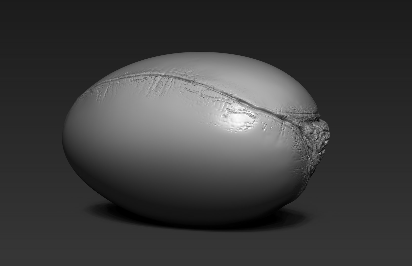 argan seed 3d model https://p.turbosquid.com/ts-thumb/Sa/tAxMdg/3m8Nnbvp/07/jpg/1421086286/1920x1080/fit_q87/2deed50e116a2892b8c035177095100da6bc7cf3/07.jpg