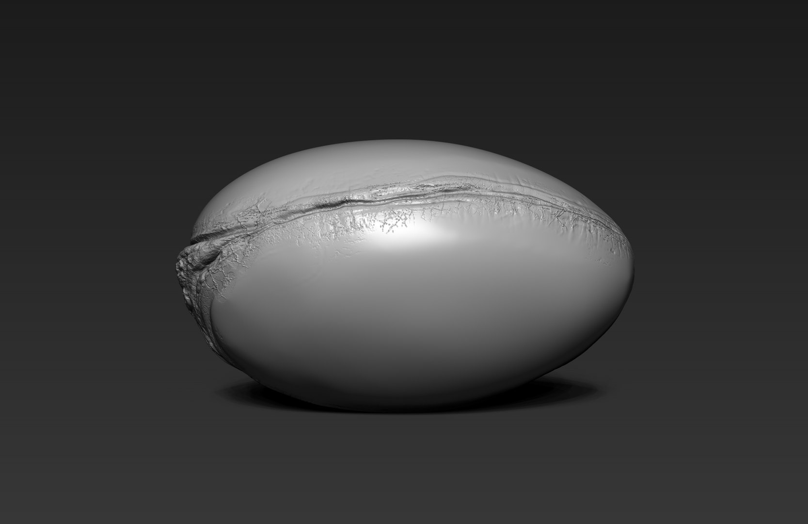 argan seed 3d model https://p.turbosquid.com/ts-thumb/Sa/tAxMdg/bcyjgl4S/06/jpg/1421086286/1920x1080/fit_q87/2a9c3868d8c4ace8d157508836c9f826b17e3da9/06.jpg