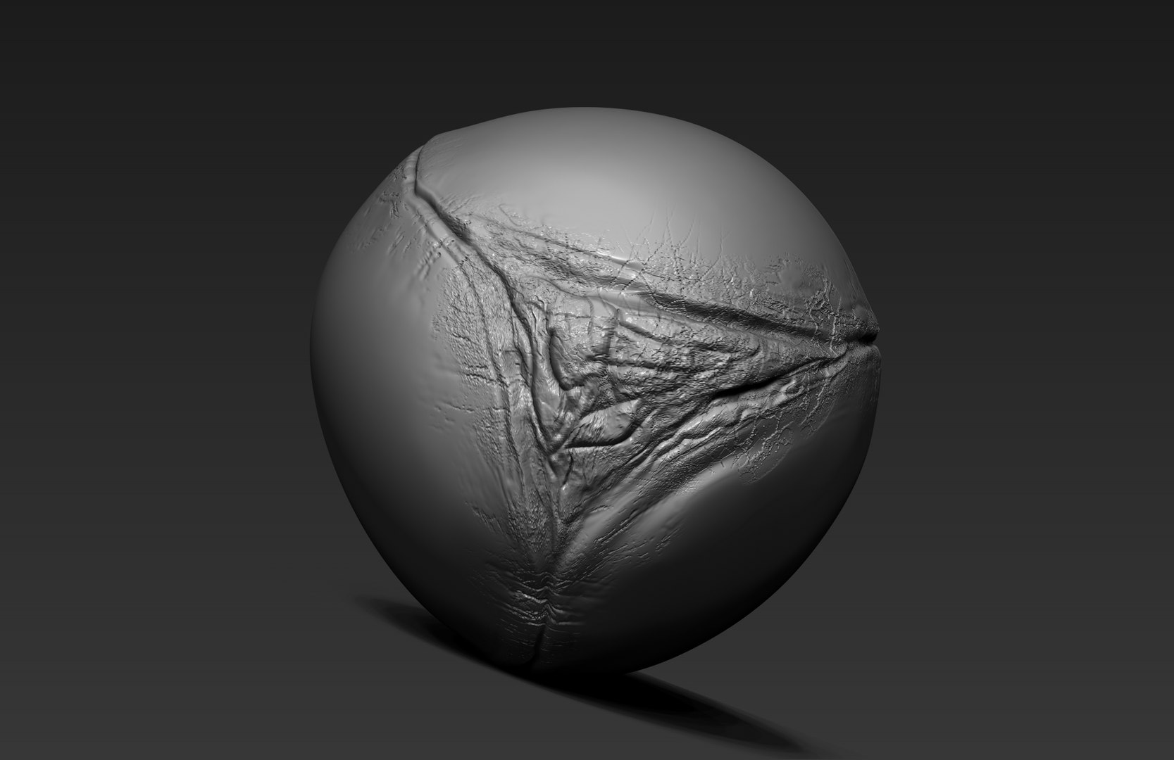 argan seed 3d model https://p.turbosquid.com/ts-thumb/Sa/tAxMdg/fgSdOxO3/04/jpg/1421086286/1920x1080/fit_q87/8c96c10b90324f483b7d94199b82574ff614cca6/04.jpg