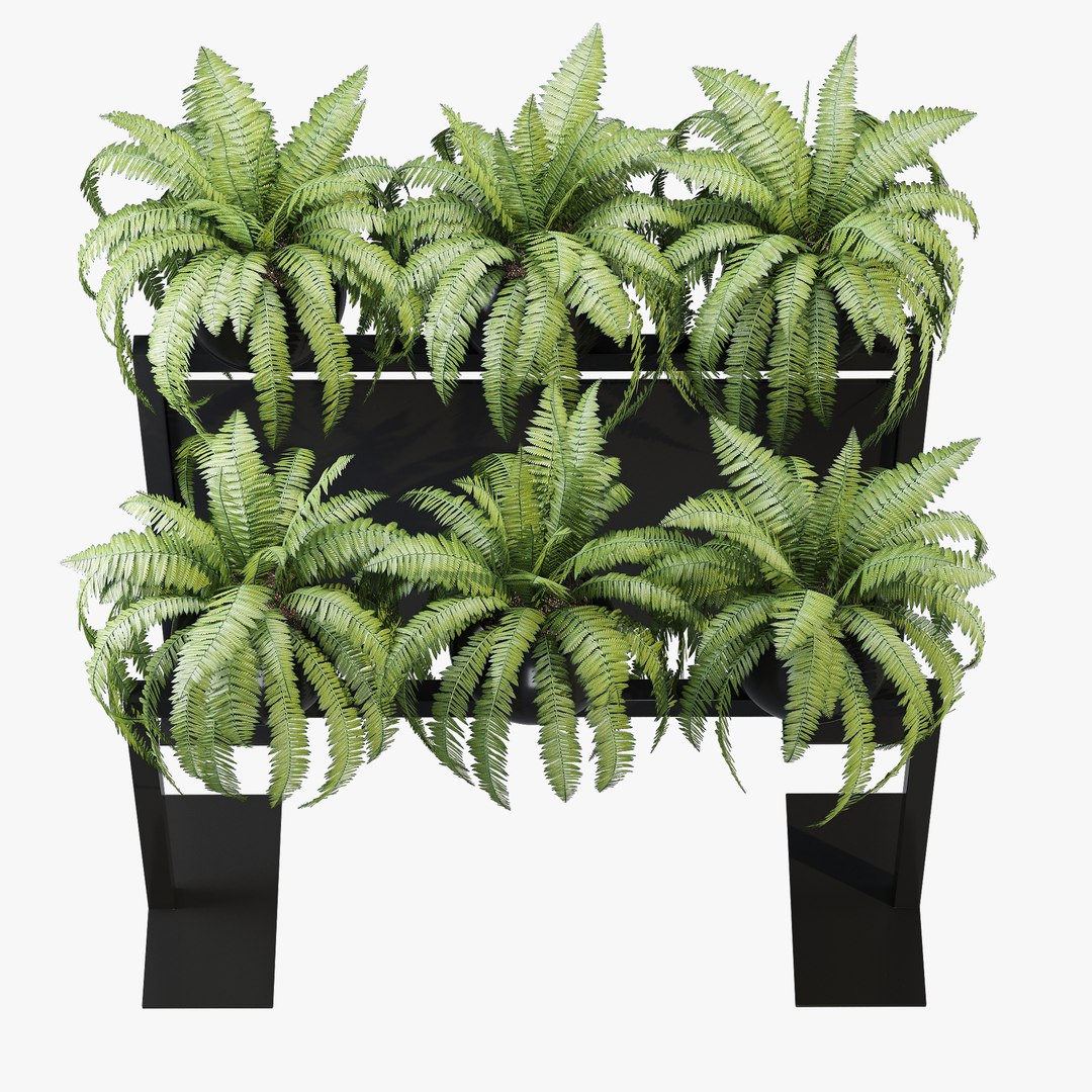3D bloss model https://p.turbosquid.com/ts-thumb/Sa/yMpbco/BJ1aZc3N/dtree_21/jpg/1602006072/1920x1080/fit_q87/92b5a3585ba4da8ea43d4cf4868beb946b1ba07d/dtree_21.jpg