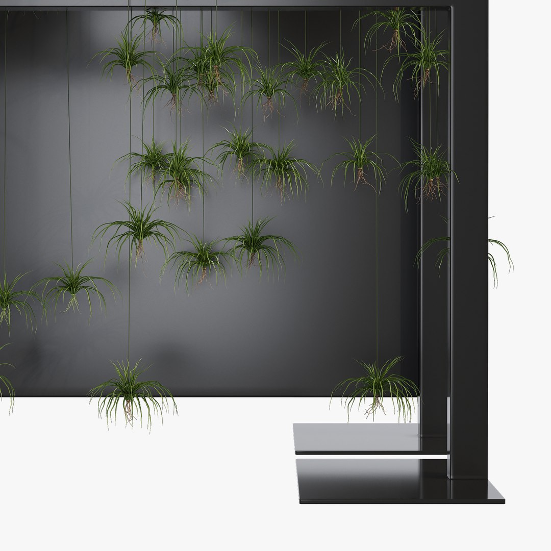3D bloss model https://p.turbosquid.com/ts-thumb/Sa/yMpbco/QEfRyhdG/dtree_15/jpg/1602006067/1920x1080/fit_q87/db5c62663f300f2d179efe5512a3c73e9325599b/dtree_15.jpg