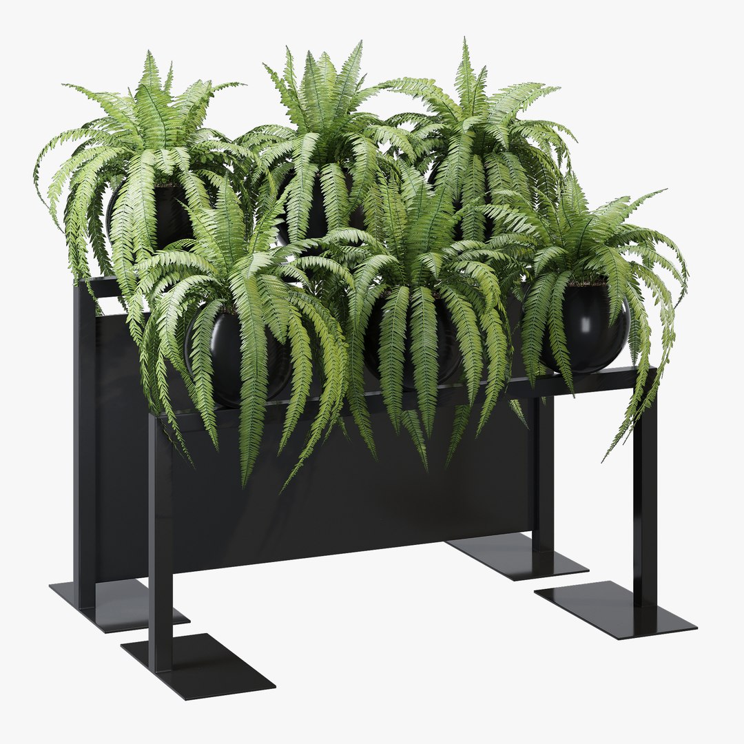 3D bloss model https://p.turbosquid.com/ts-thumb/Sa/yMpbco/kZxqsfaC/dtree_20/jpg/1602006072/1920x1080/fit_q87/ebc09876e40560dbcb268245145989bf193c0209/dtree_20.jpg