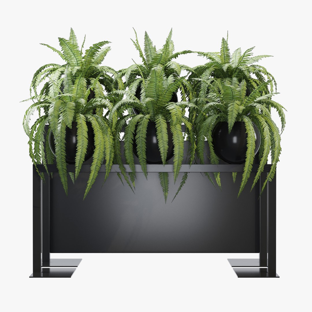 3D bloss model https://p.turbosquid.com/ts-thumb/Sa/yMpbco/o1FaCqFU/dtree_22/jpg/1602006072/1920x1080/fit_q87/0fba6df63524c40817f663953a8a47ddf65e3350/dtree_22.jpg