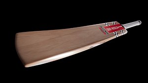 3D Cricket Bat model