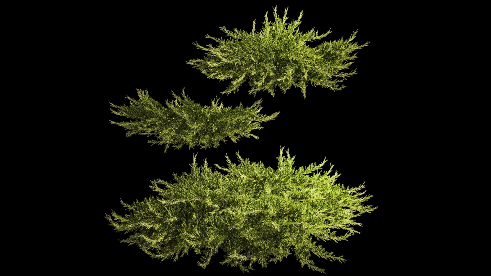 Juniper And Thuja Bushes For Landscape Design 1164 3D Model ...